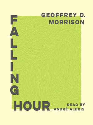 cover image of Falling Hour